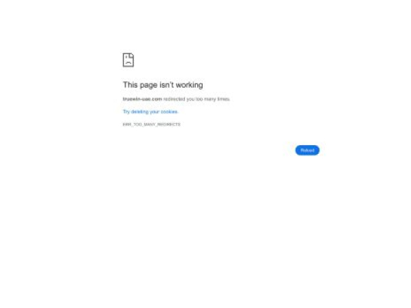 truewin-uae.com